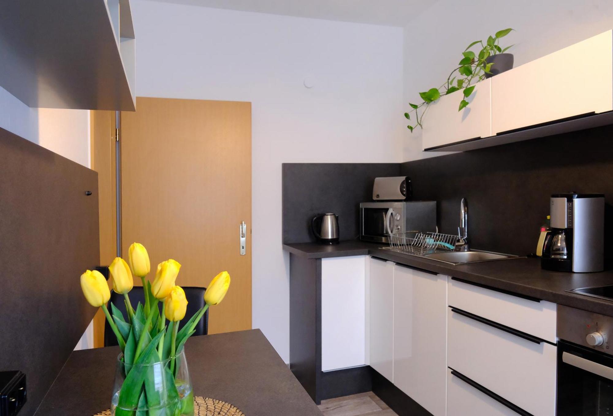 Apartmán Urlaub Nicht Nur Fuer Monteure "G1" Gera Exteriér fotografie